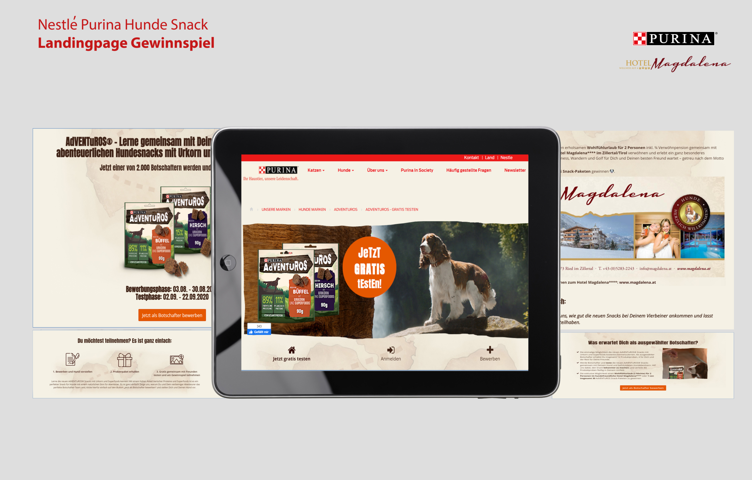 Landingpage Purina Landing Page Purina